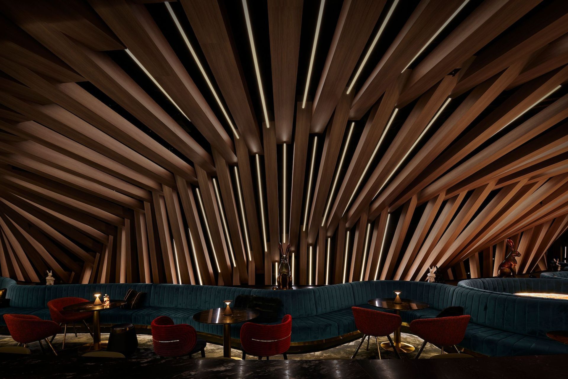 Curious by Hachem | Photography by Nicole Reed