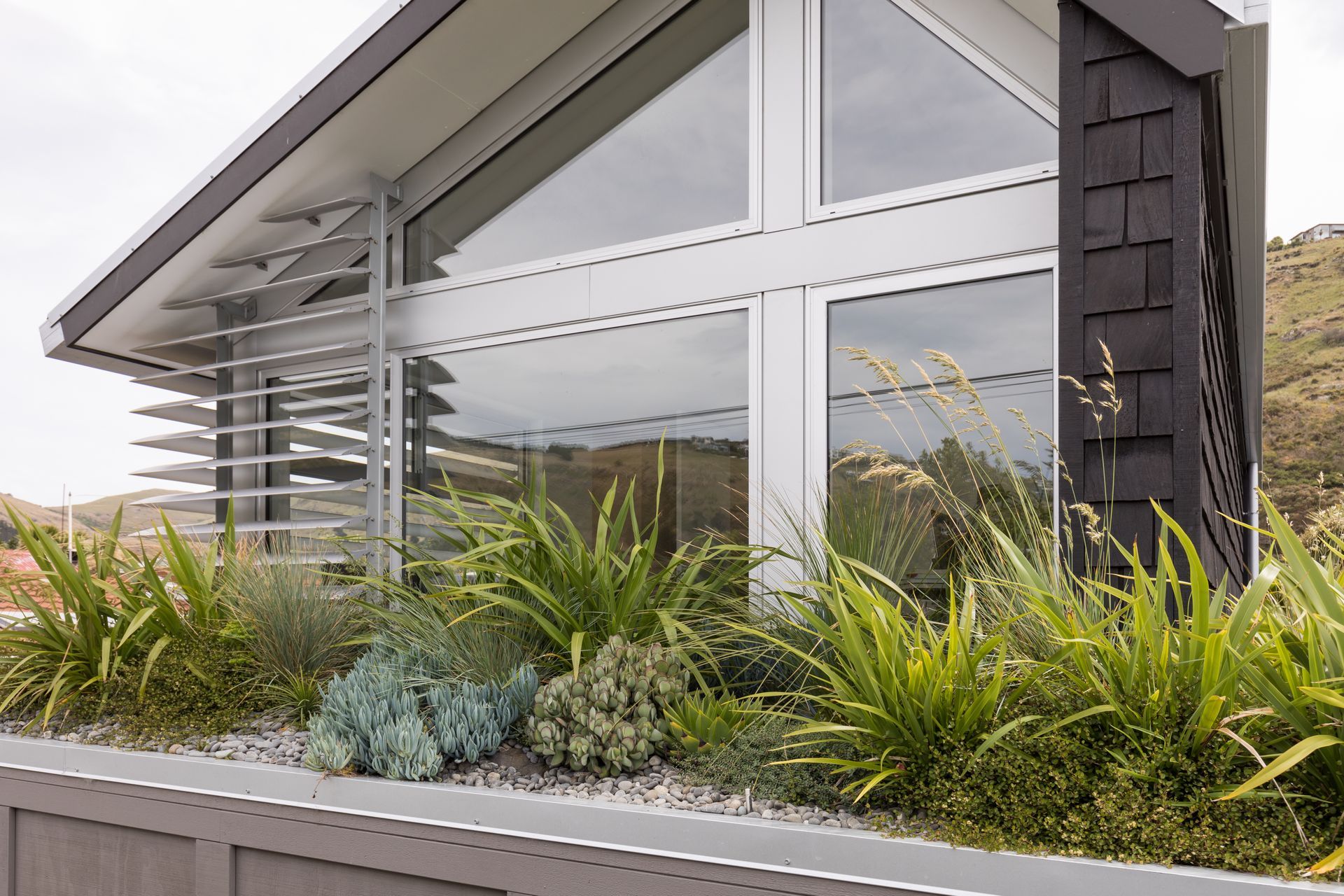 Consisting of 115 plants from 13 species, this Christchurch green roof installation won a gold award in the Residential Horticulture category of the 2021 Landscapes of Distinction awards.