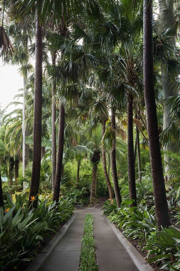 Why it’s time to stop throwing shade at trees