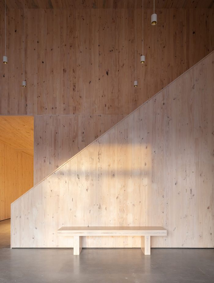 XLam CLT natural, healthy choice for pre-fab firm’s workplace environment