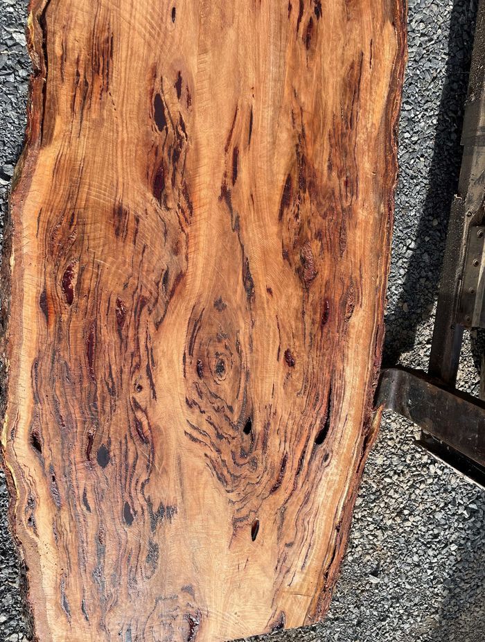 blackbutt-timber-close-up-image-of-timber-1.jpeg
