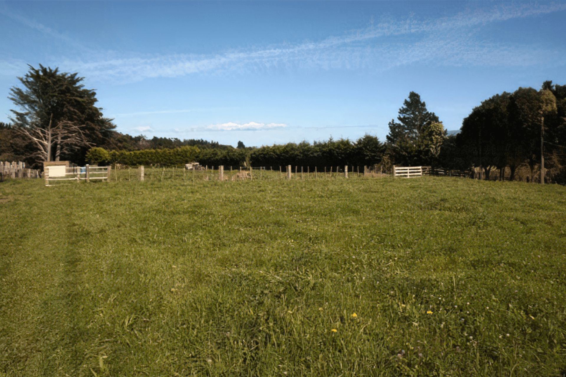 When you're trying to decide what trees to plant, consider your soil and the conditions.