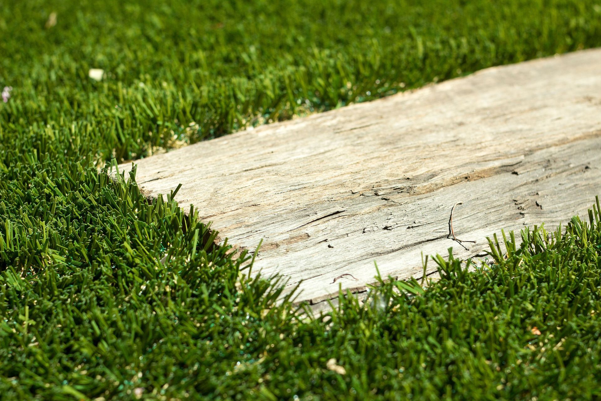 What Do You Do With a Small Backyard?