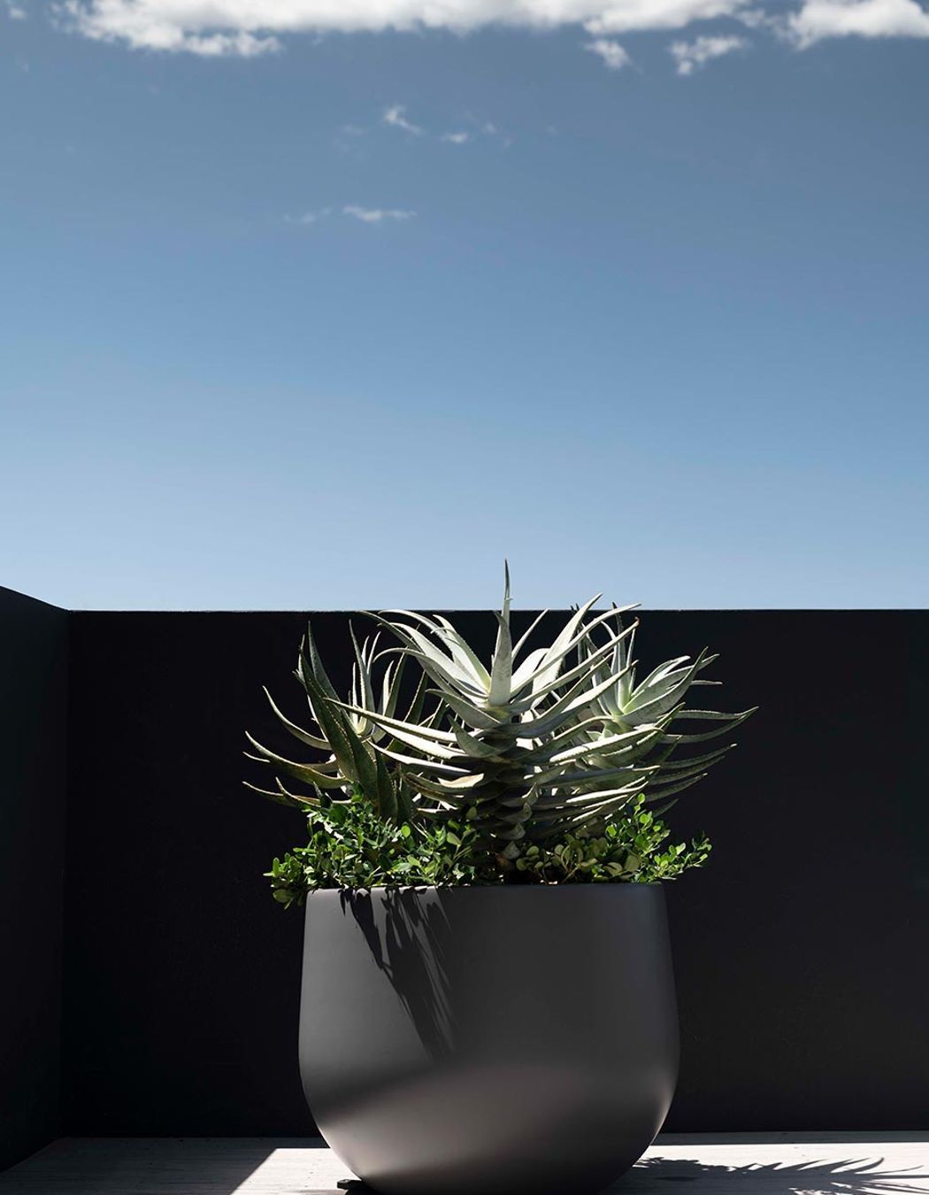 Potted plants of all sizes work well in front gardens