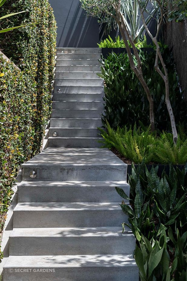 Fresh plants and a well maintained hedgerow look great side by side this garden staircase