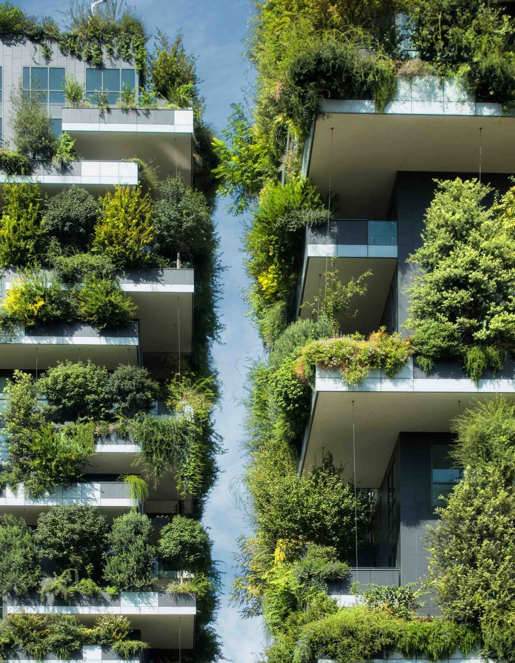 What will the cities of the future be like?