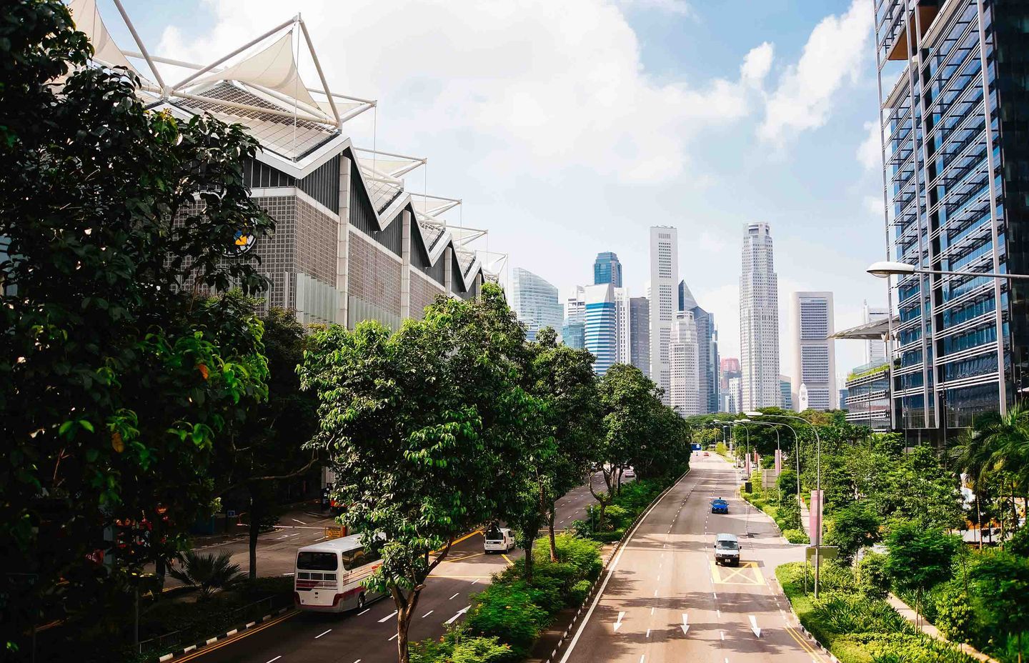 What will the cities of the future be like?