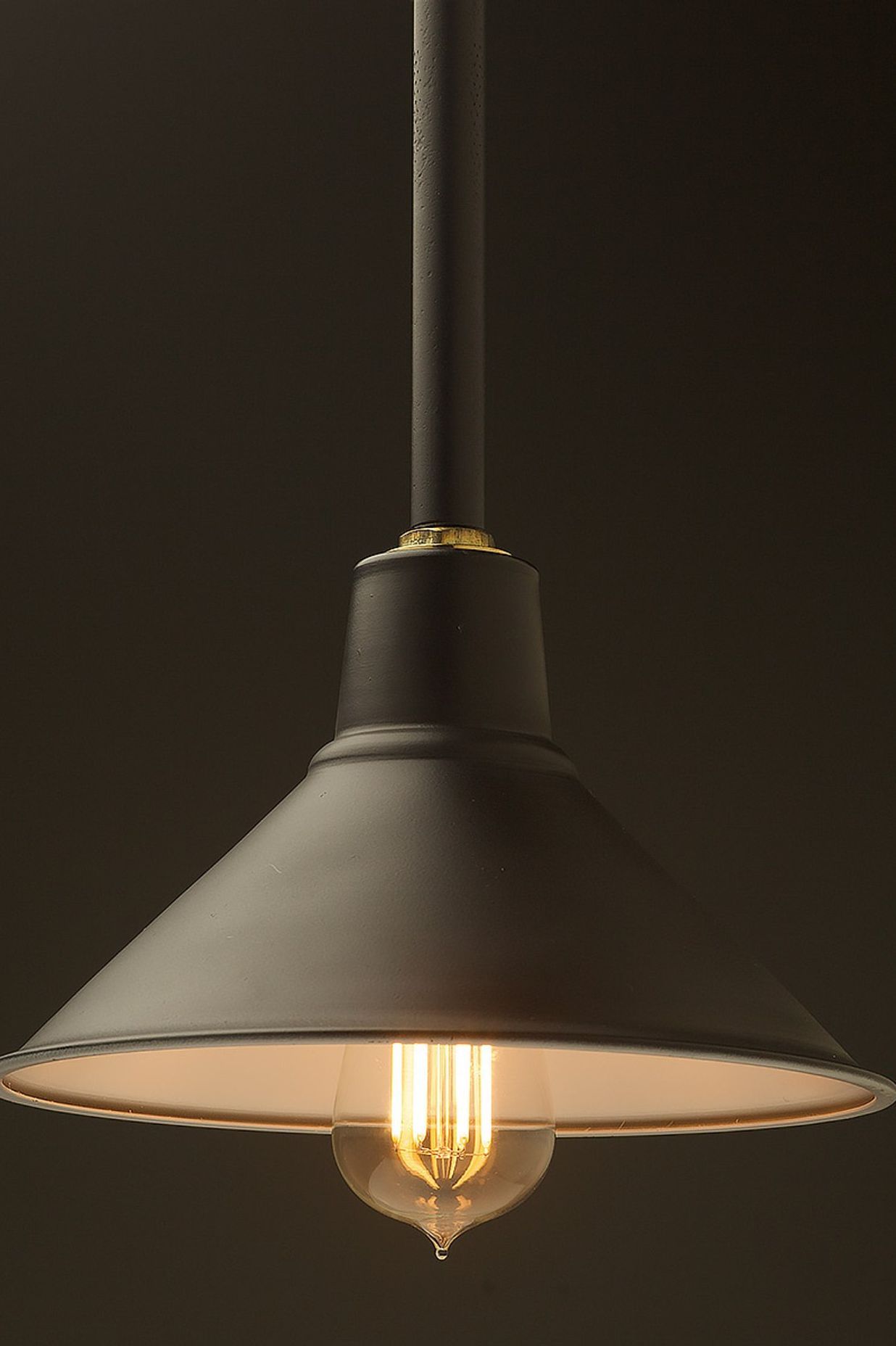 Edison Light Globes - Flat Black Plumbing Pipe Hooded Shade Pendant