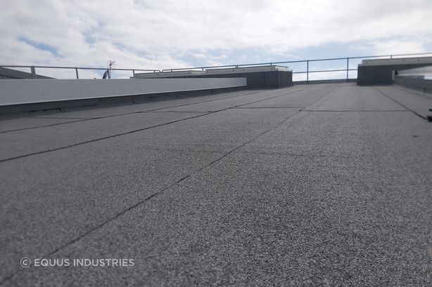 Case Study: Tōtara Haumaru – North Shore Hospital