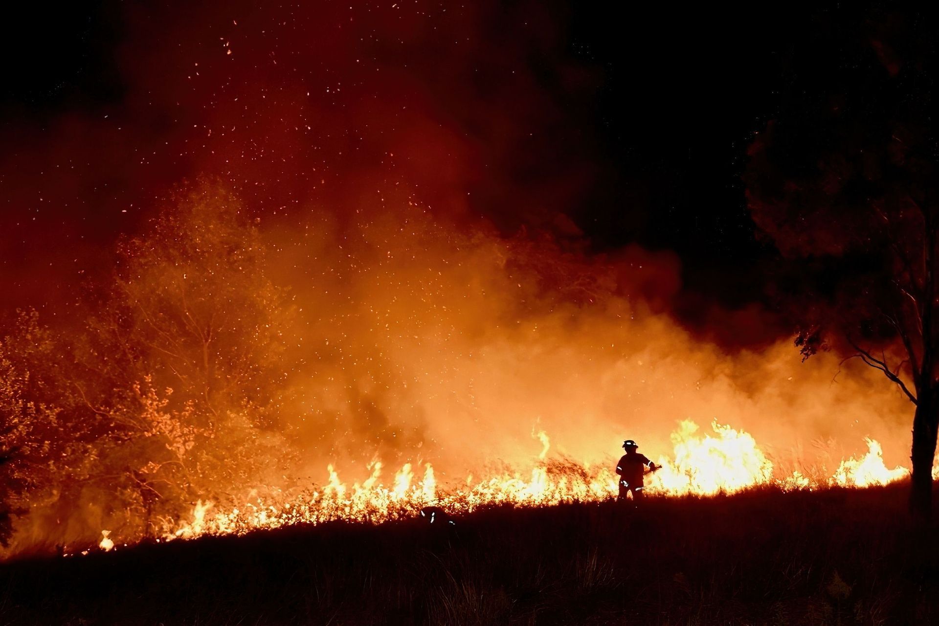 How seals can help prevent future bushfire damage and why they are mandatory