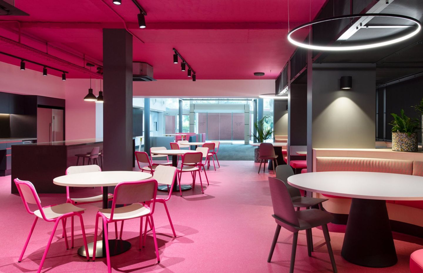 University of Sydney Merewether Building by Cox Architecture | Accolade Bespoke by Armstrong Flooring