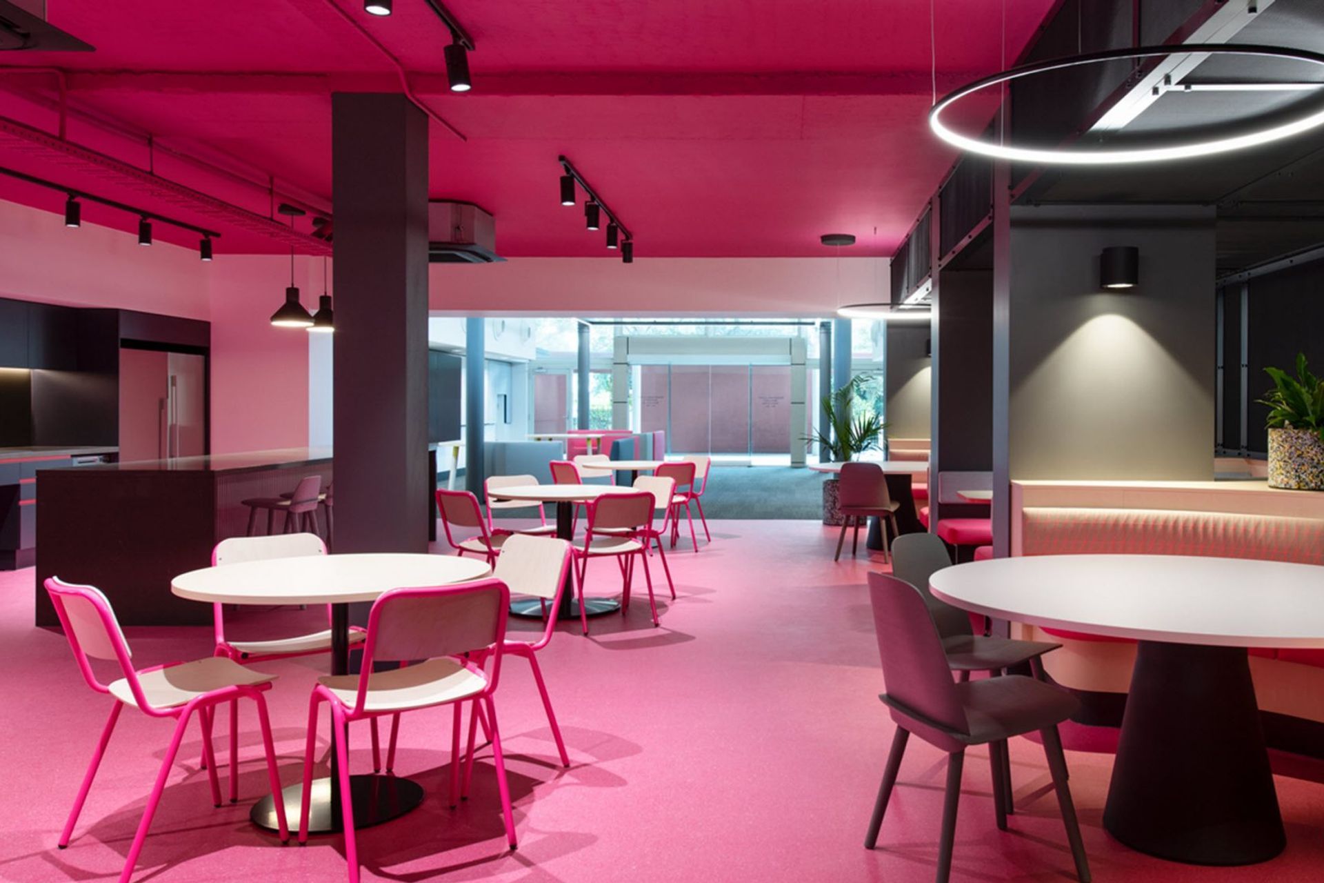 University of Sydney Merewether Building by Cox Architecture | Accolade Bespoke by Armstrong Flooring