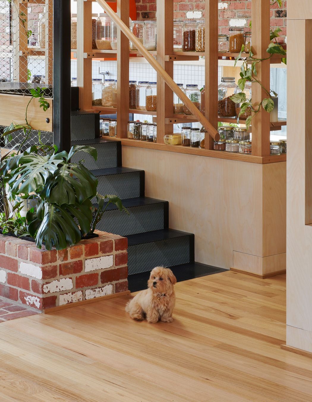 Gantry House by OOF! Architecture | Photography by Tatjana Plitt