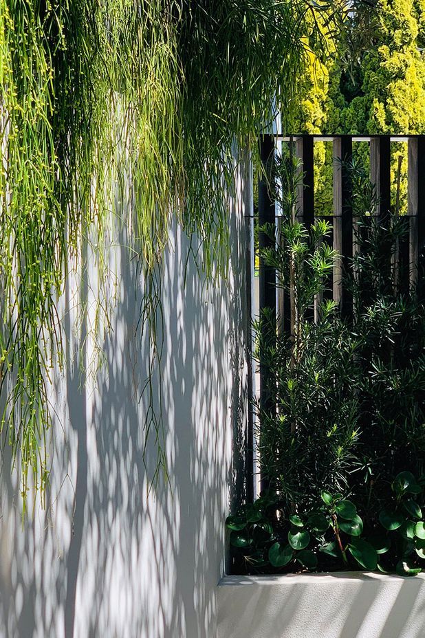 Going Green for Lockdown Wellbeing