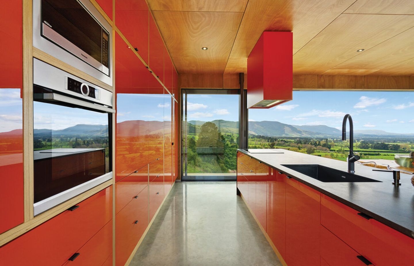 Where the kōwhai blooms