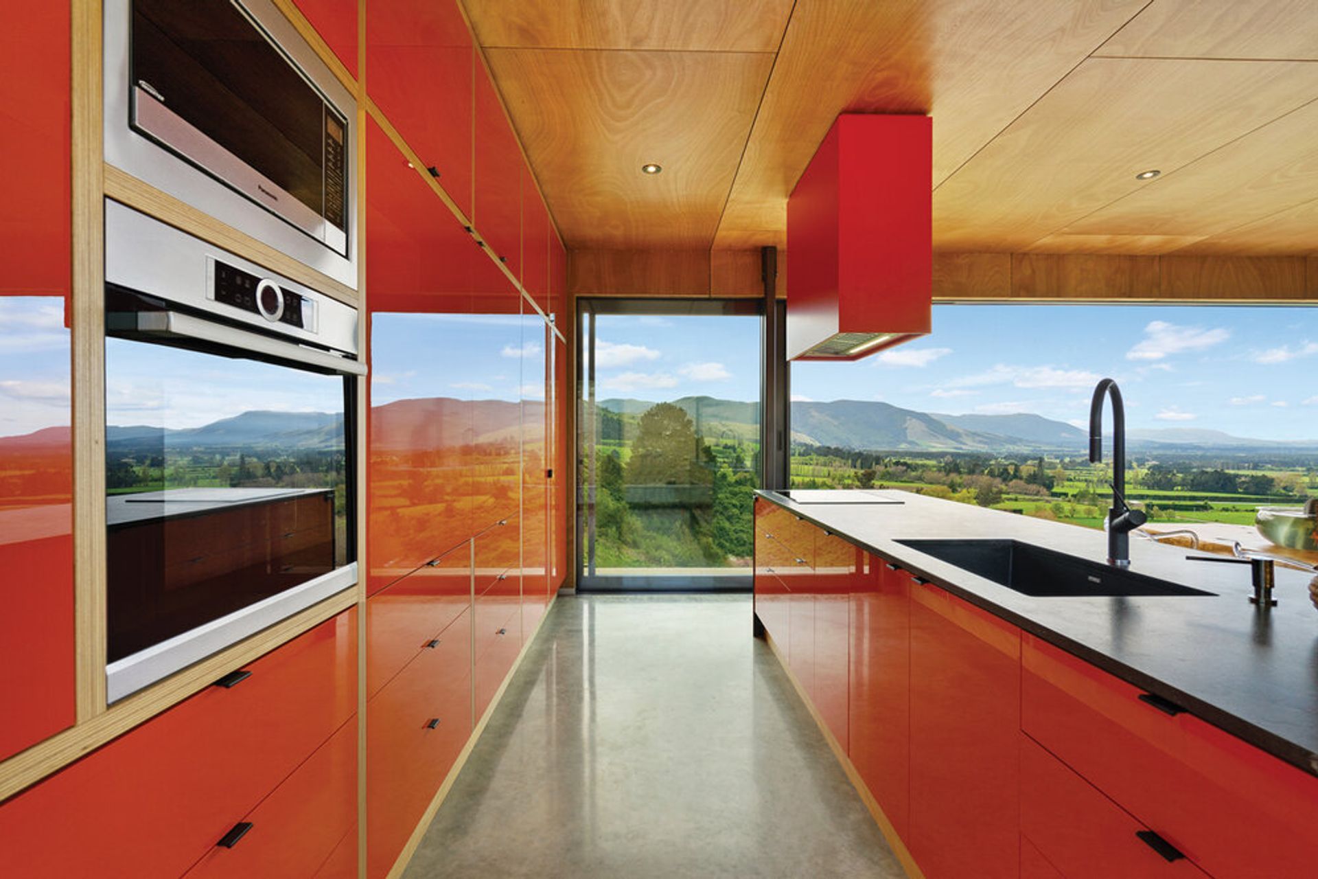 Where the kōwhai blooms