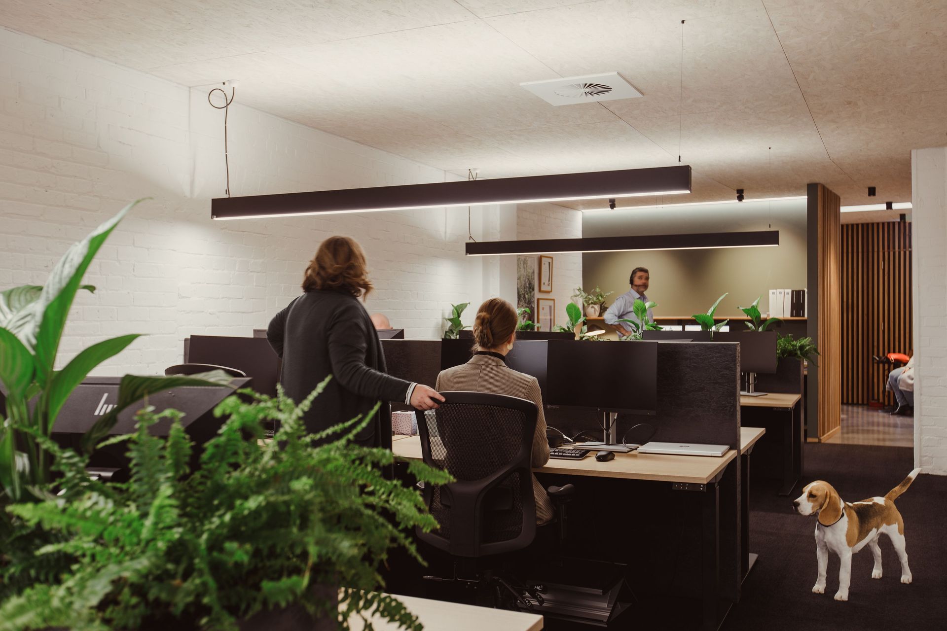 A Recently Completed Office Conversion in Hobart