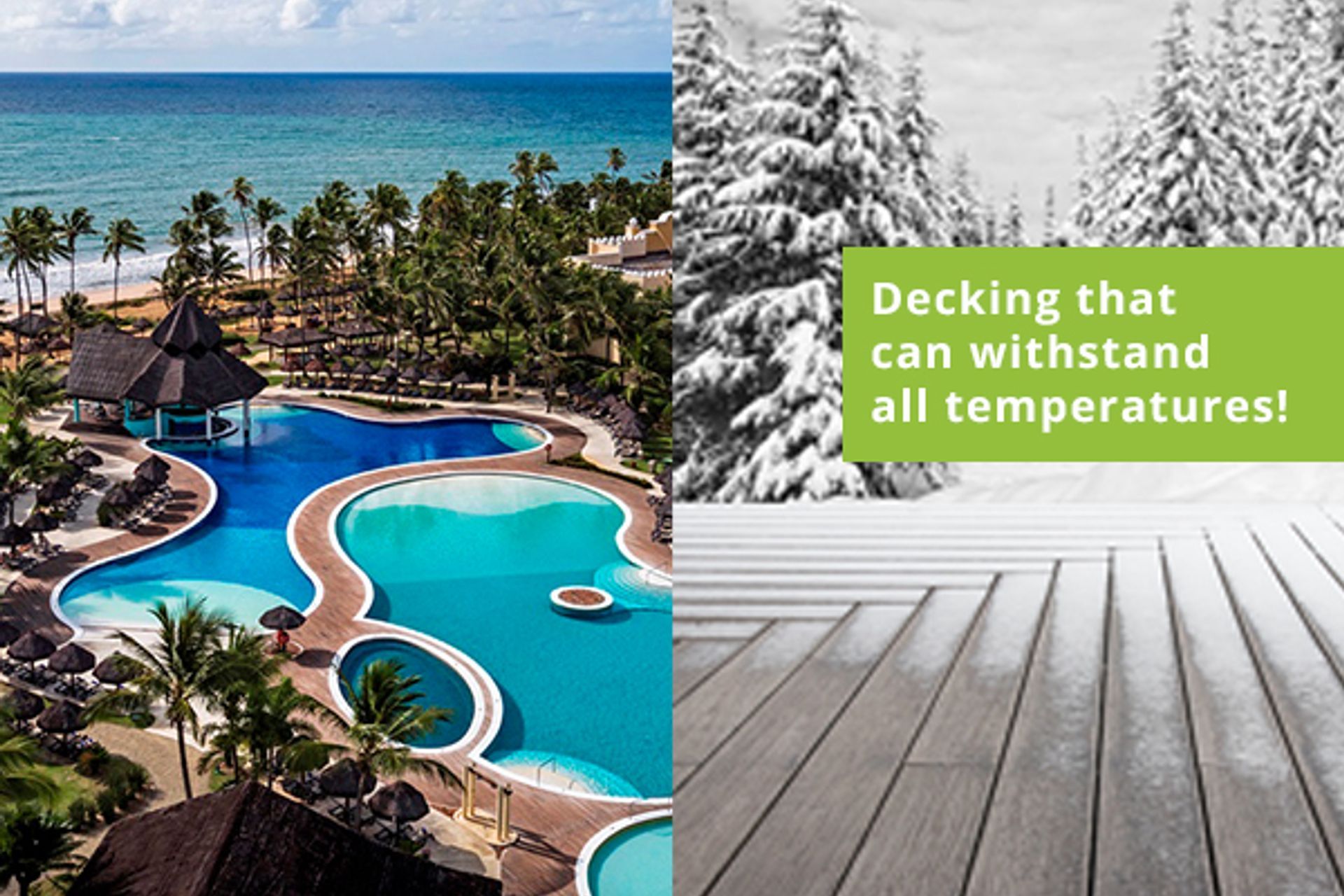 Winter Bamboo Projects