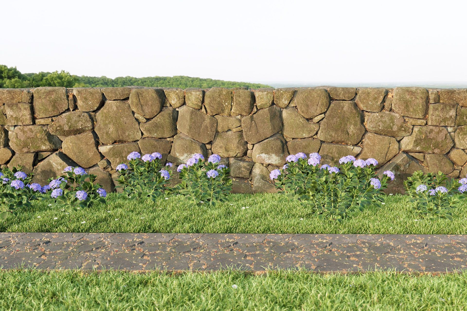 How to import free high quality assets into SketchUp with Quixel Bridge &amp; Transmutr