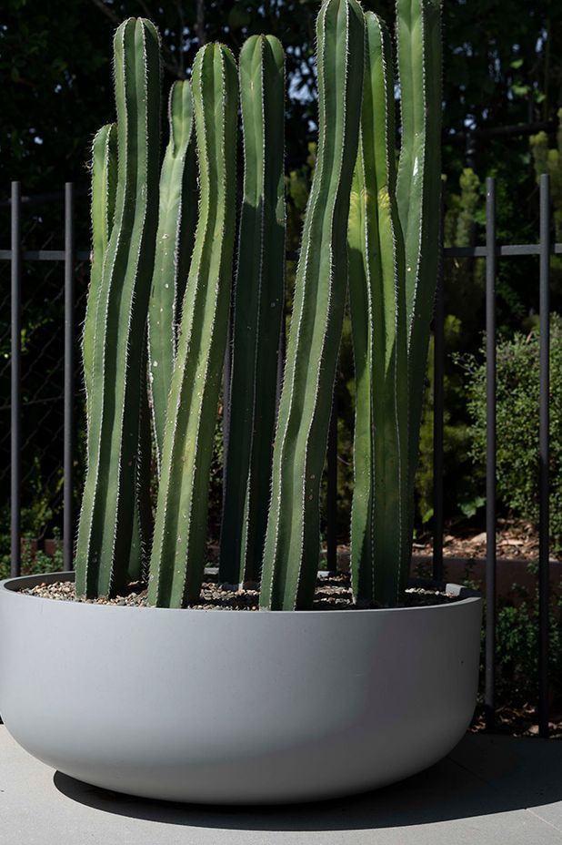 Christmas Gifts with Hibernate