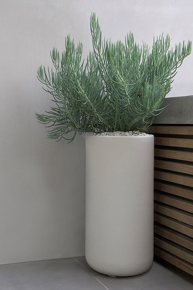 Christmas Gifts with Hibernate