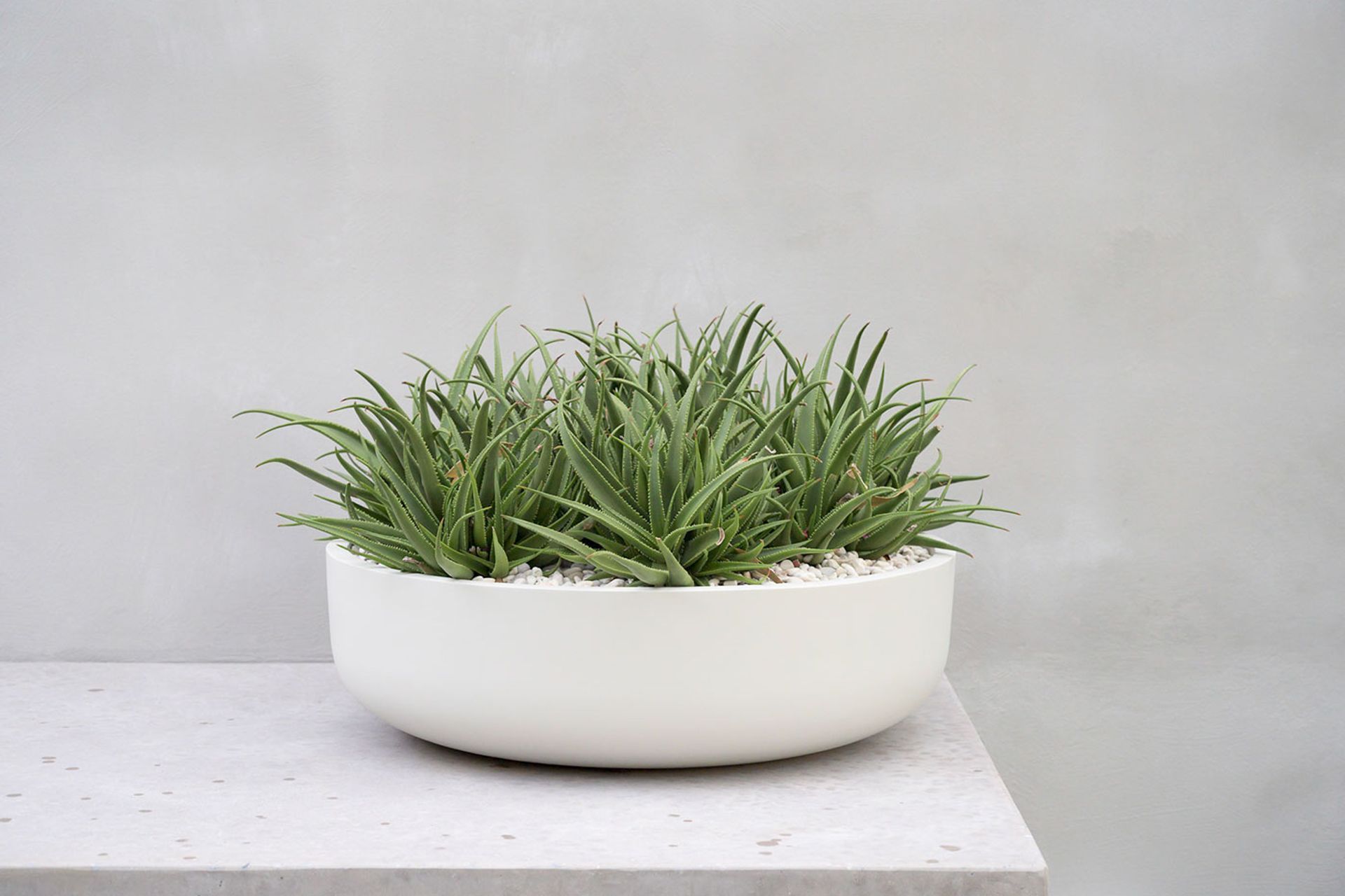 Christmas Gifts with Hibernate