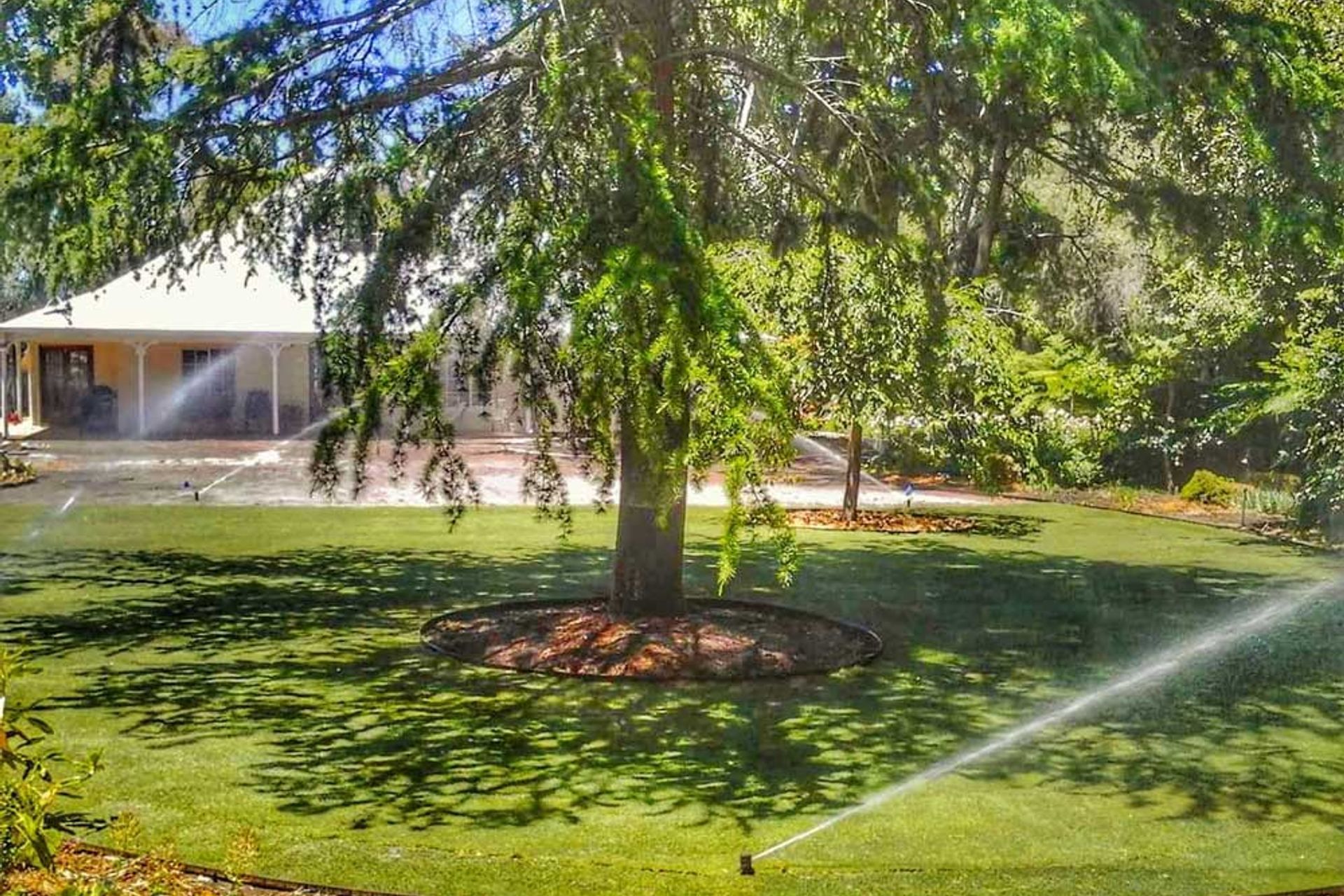 The Six Steps to laying your own lawn