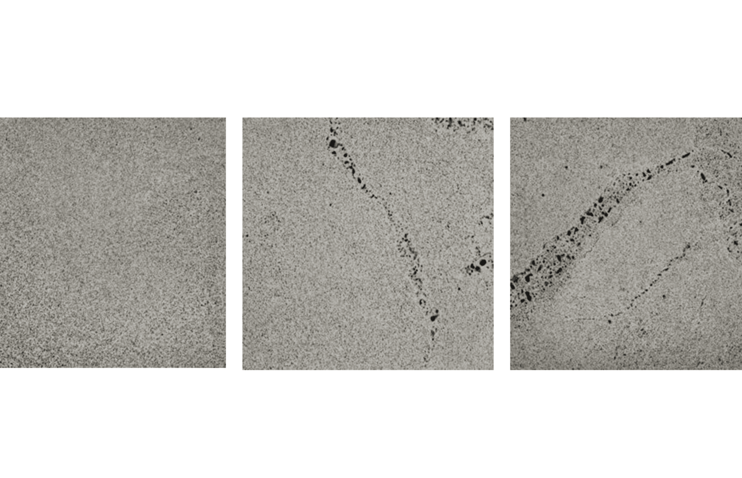 Understanding Bluestone Grades