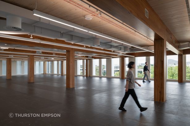 23 National Circuit in Barton ACT, featuring glue laminated engineered mass timber from ASH. Photo: Thurston Empson