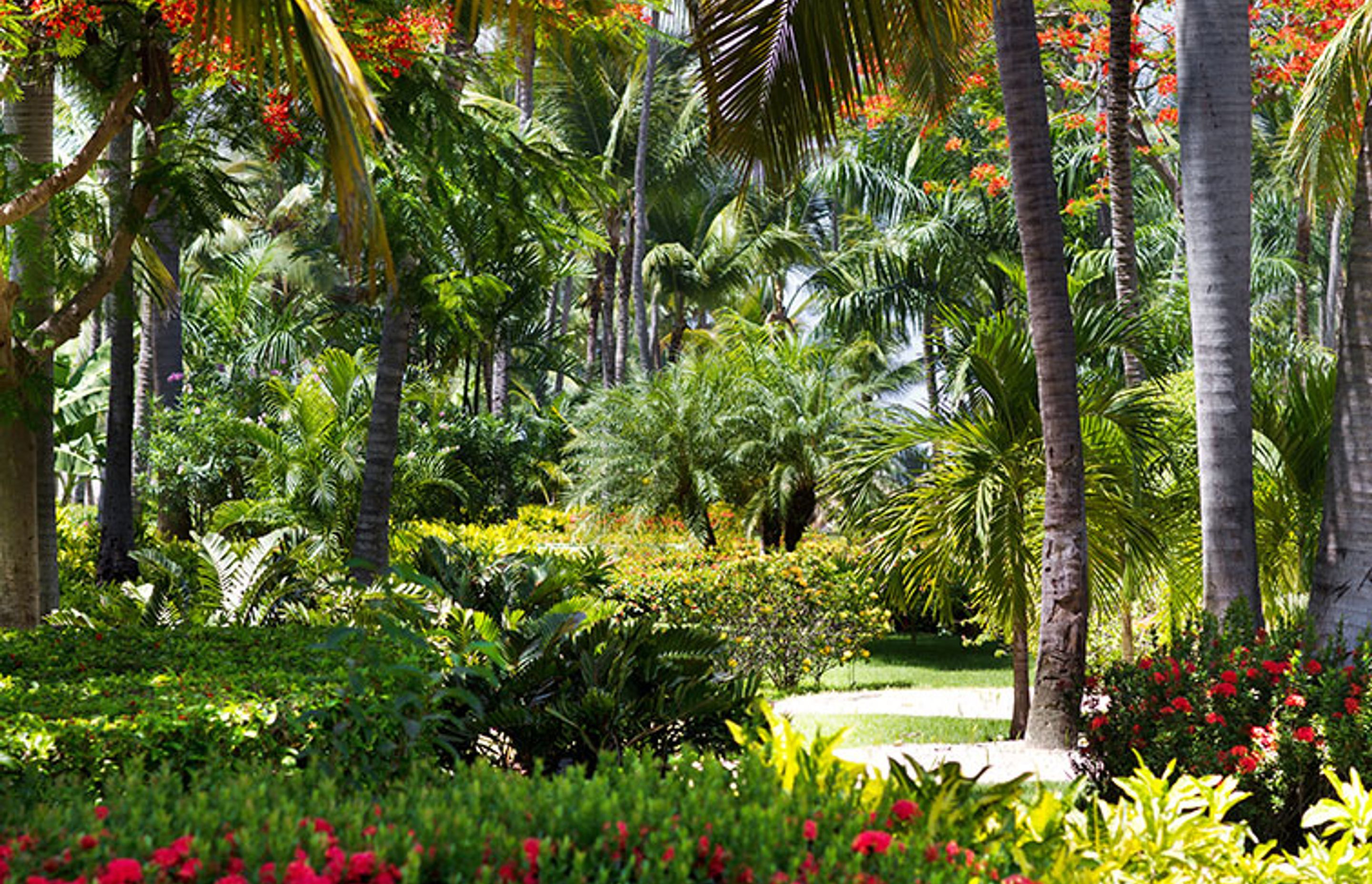 Themed garden series part 2: tropical gardens