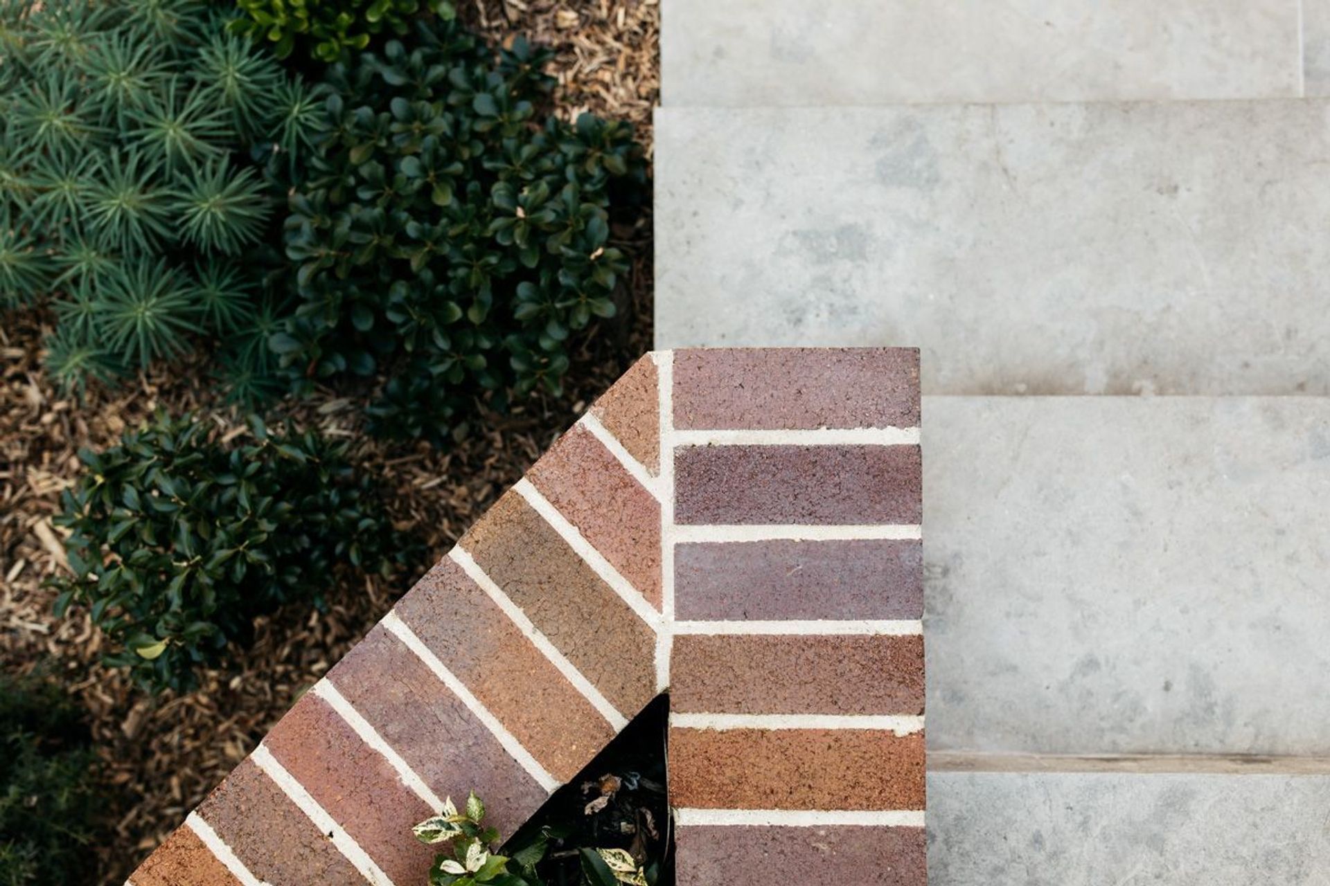 Tips To Get Your Garden Ready For Summer