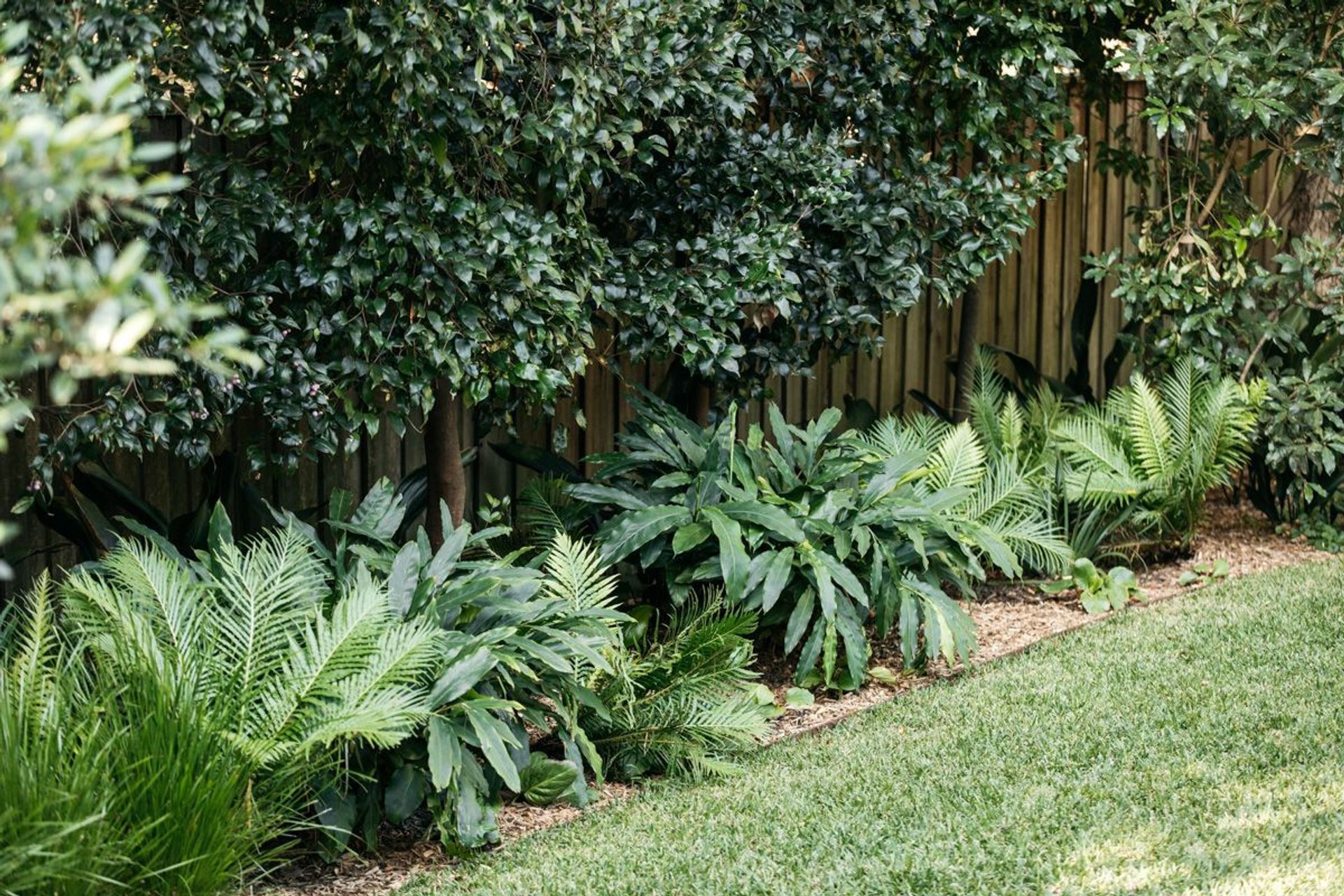 Tips To Get Your Garden Ready For Summer