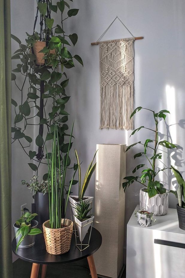 Photo by Véronique Trudel on Unsplash