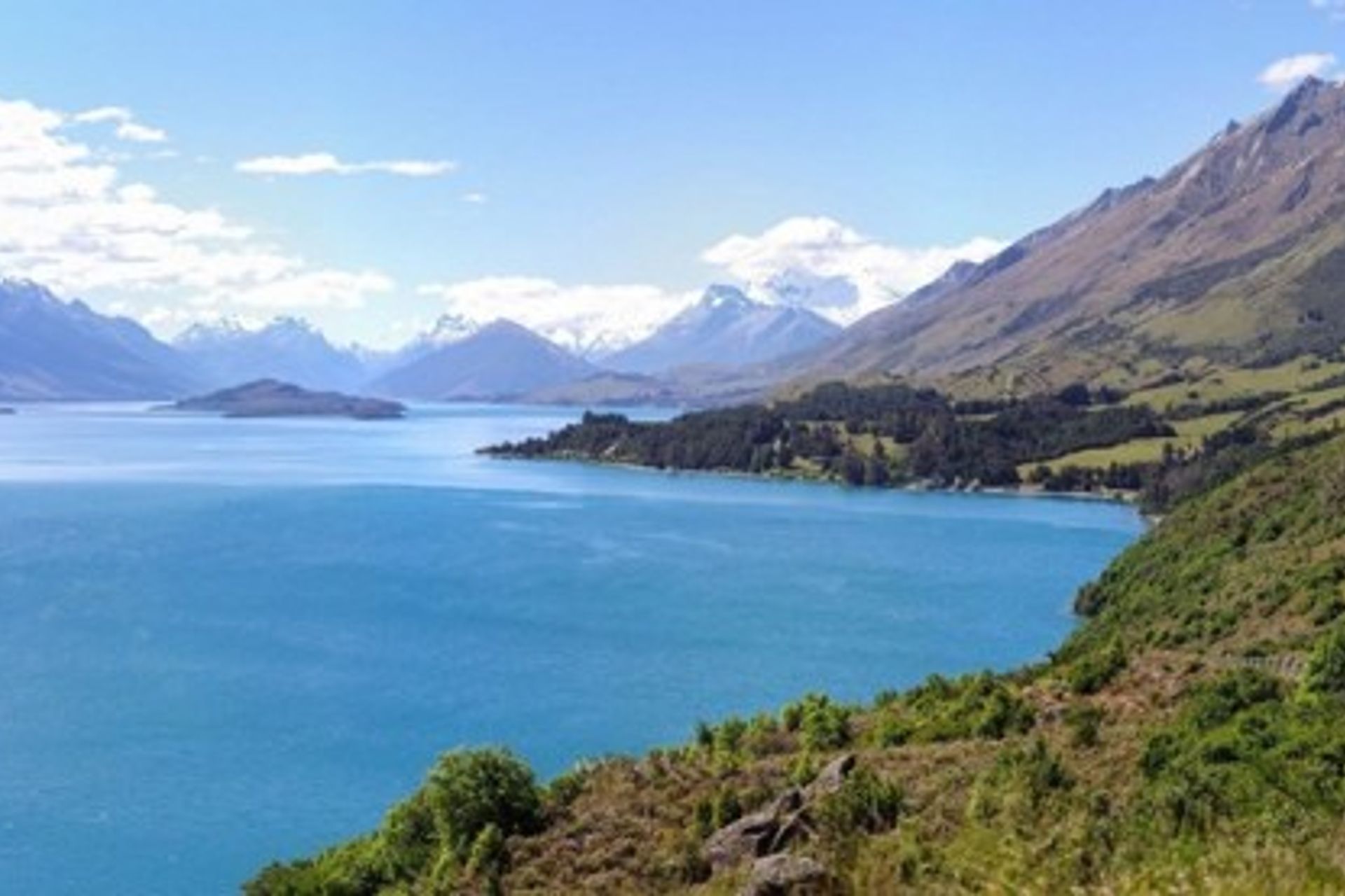 What are the best windows for New Zealand Houses?