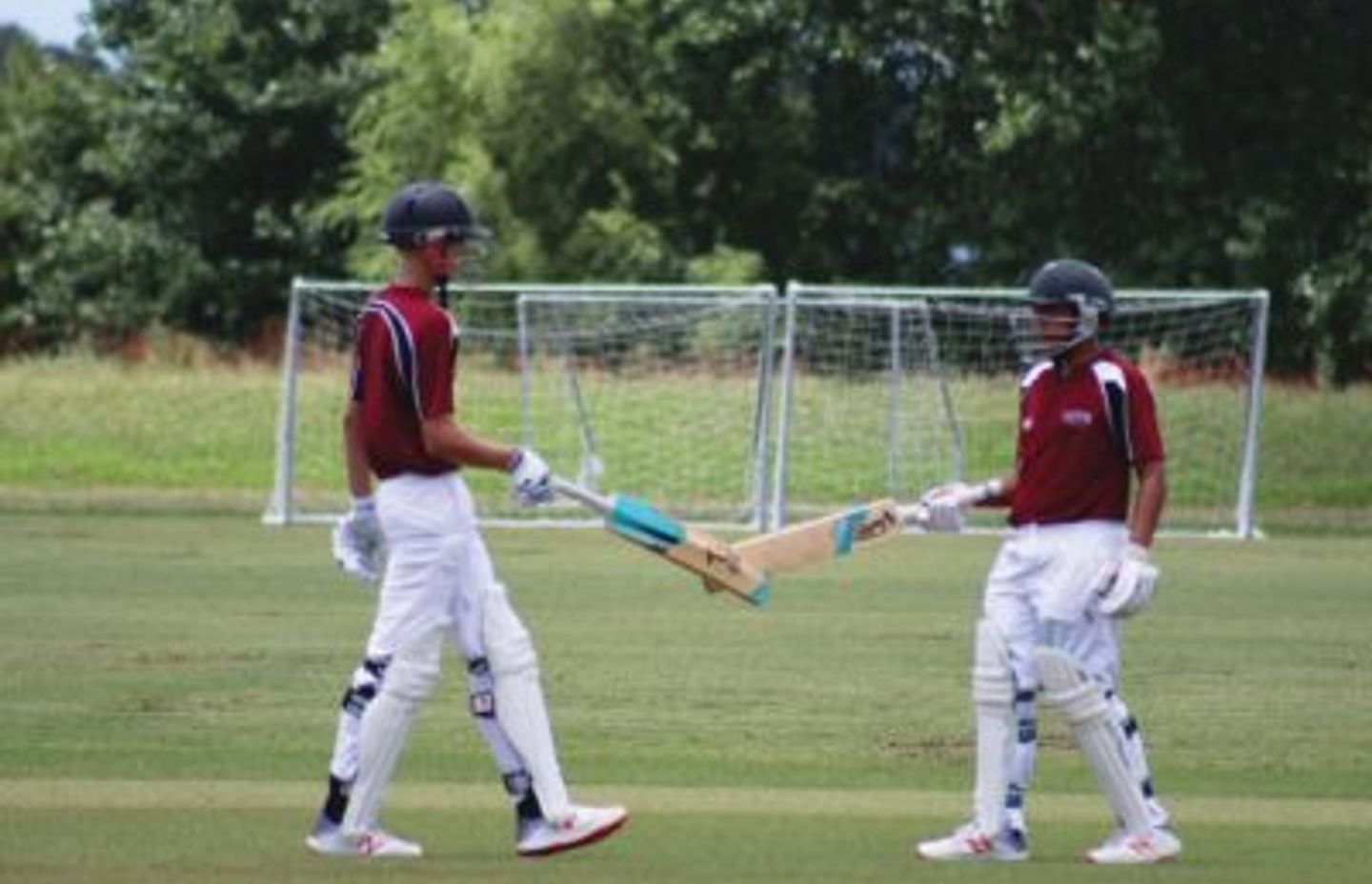 The Expert Guide to Sports Turf