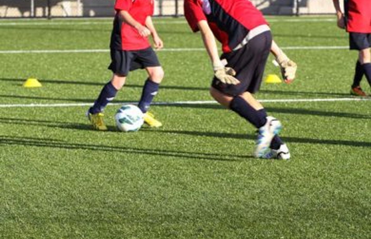 Dynamic &amp; Durable Synthetic Grass for Schools