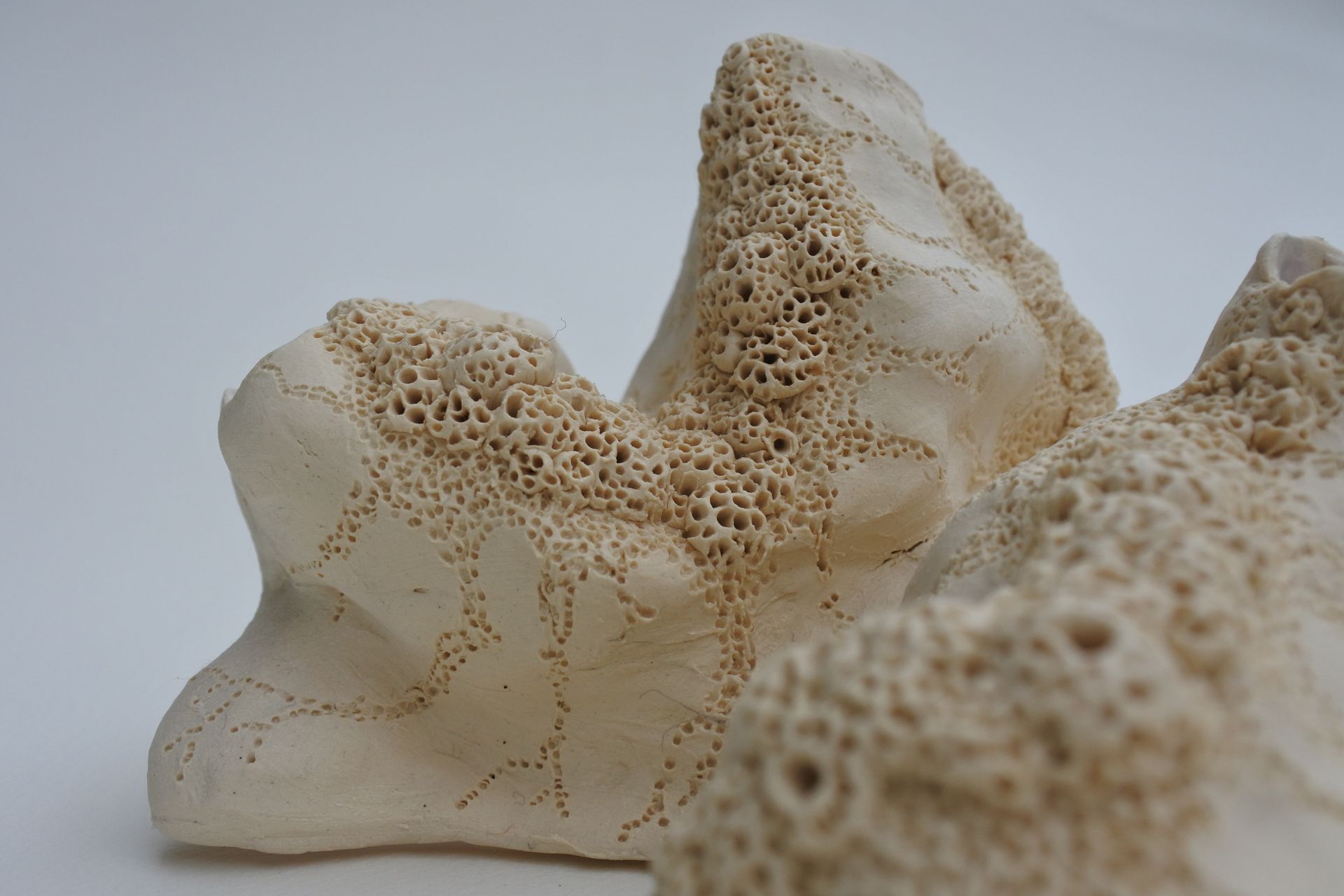 A ‘coral vessel’ handcrafted by Devyani.