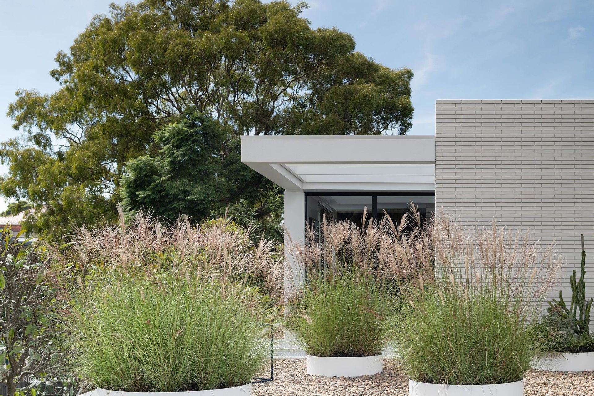 Courland House | A harmonious blend of architecture and landscape, featuring private courtyards and a vibrant garden designed for connection, relaxation, and entertaining, completed in 2022 by Pride and Passion and Spicer Architecture in Coogee.