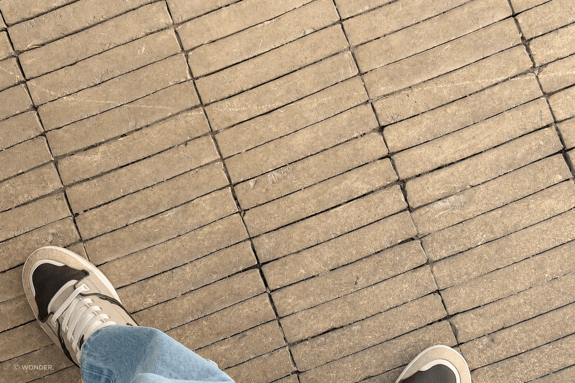 Image-06.png