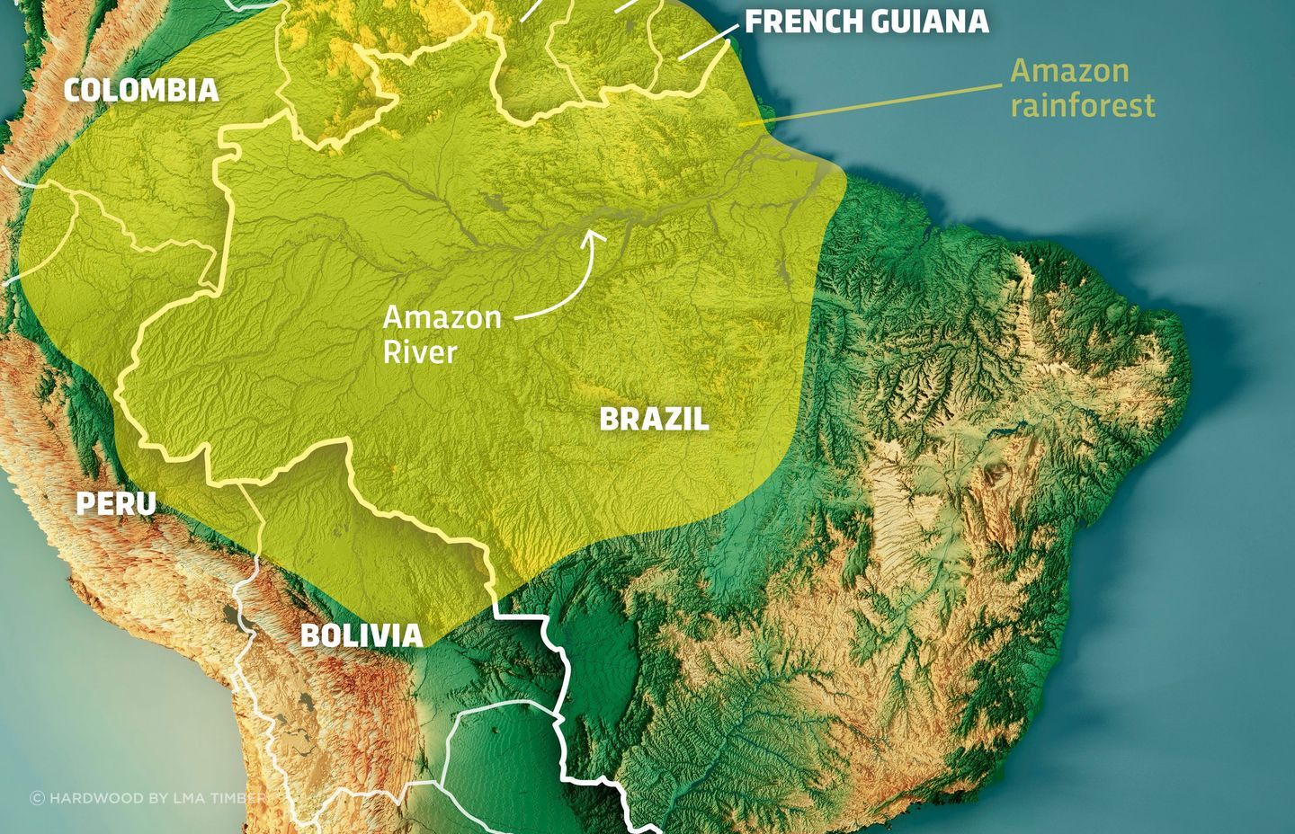 Map-of-the-Amazon-9858996.jpeg