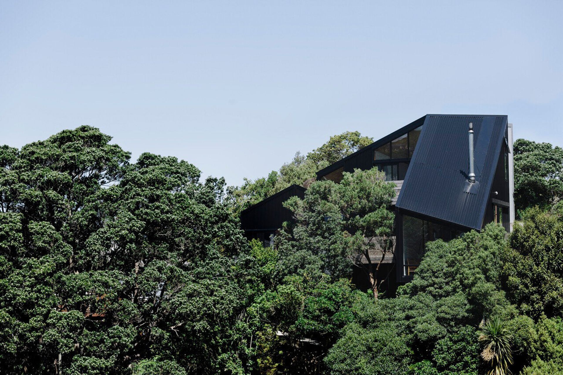 A home set amongst native trees on a steep site with challenging access, Stealth Bomber was designed by Patchwork Architecture and built by Dorset Construction.