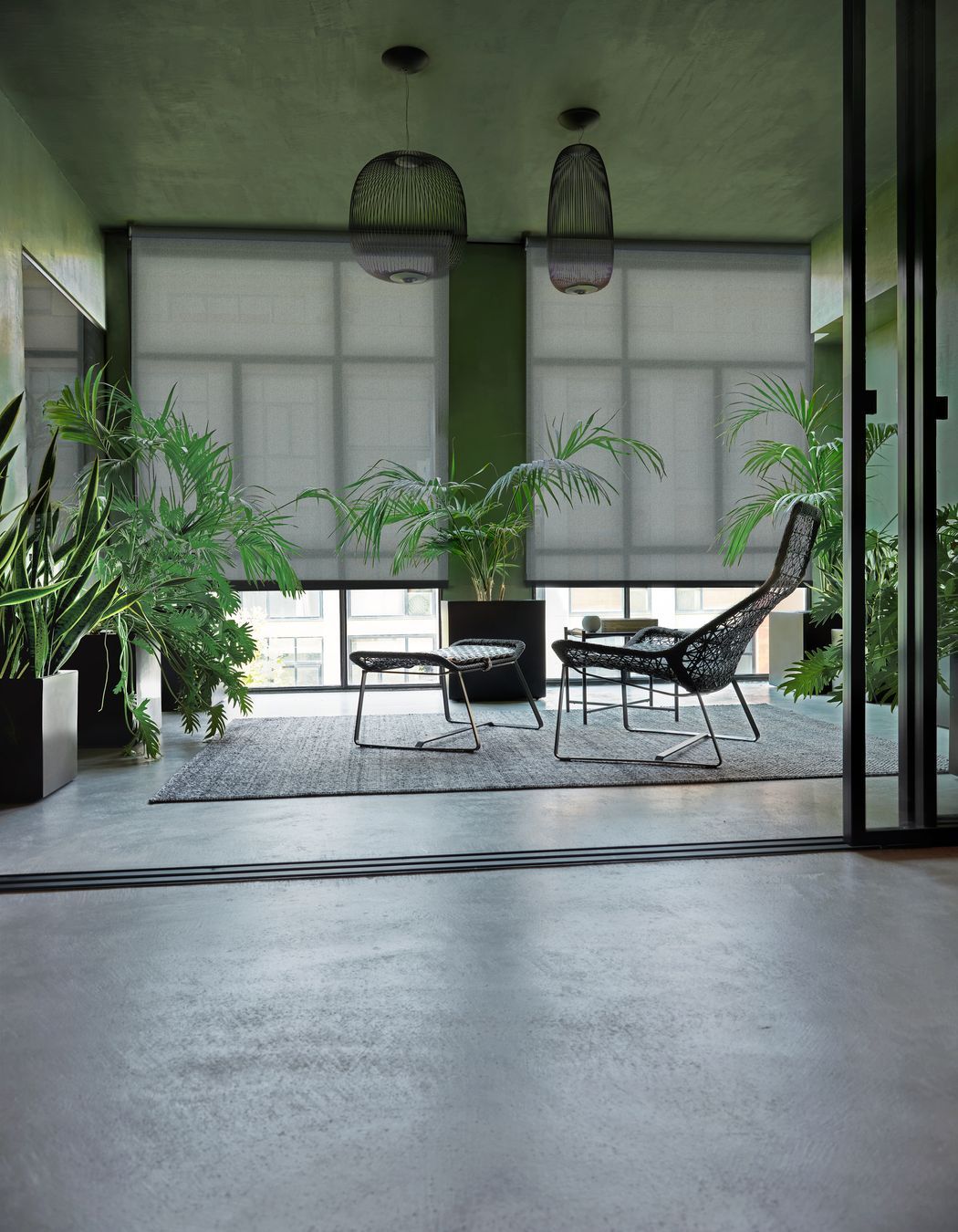 Roller blinds by JD Blinds.