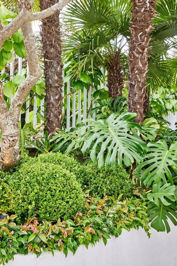 Inside, textured spheres of Buxus mingle with other low- and mid-level shrubs in curved planter beds.