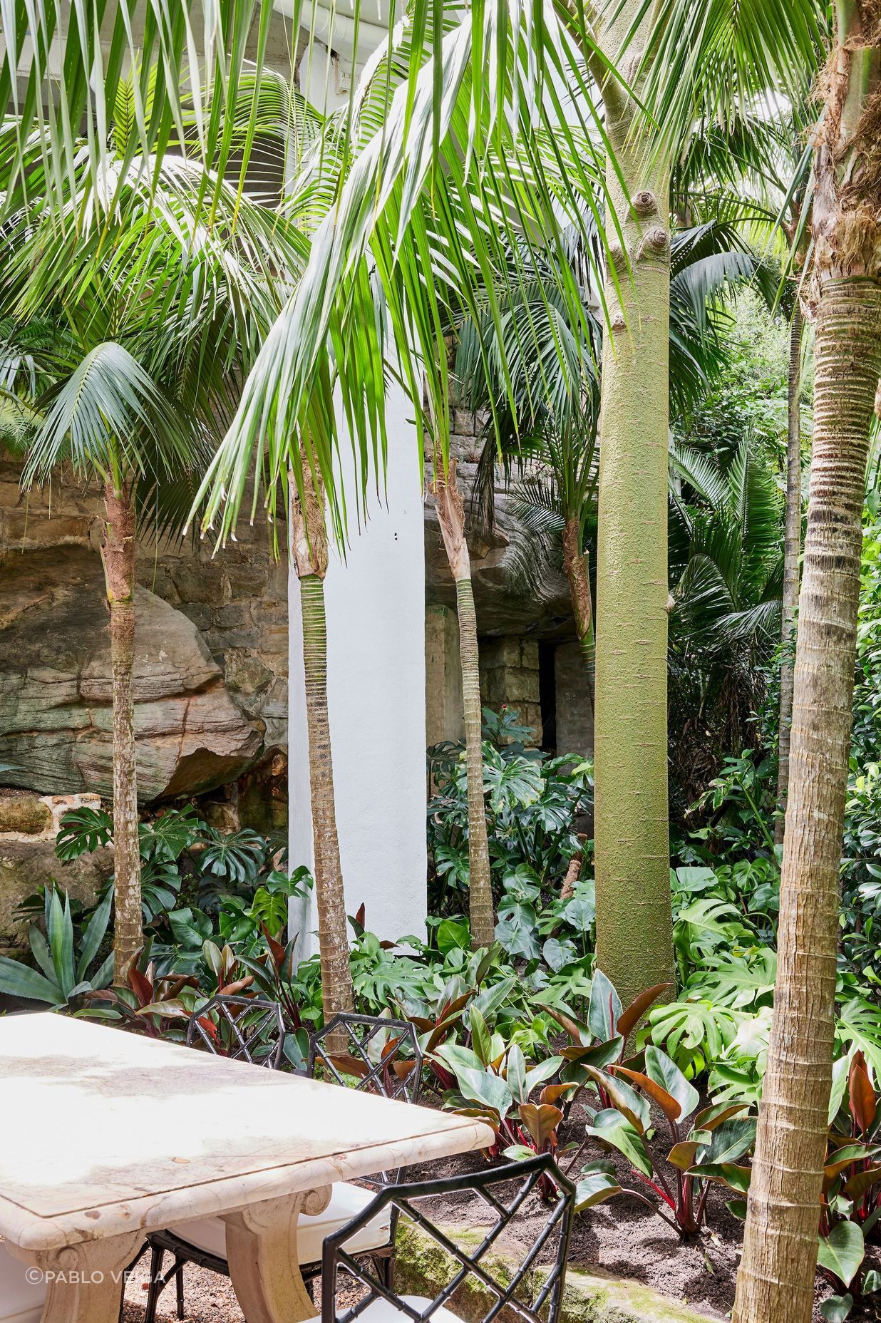 Now embedded in the hill, the home’s lush landscaping is central to its success with towering palm trees and a mix of native and exotic plants creating a sanctuary-like environment for its inhabitants.