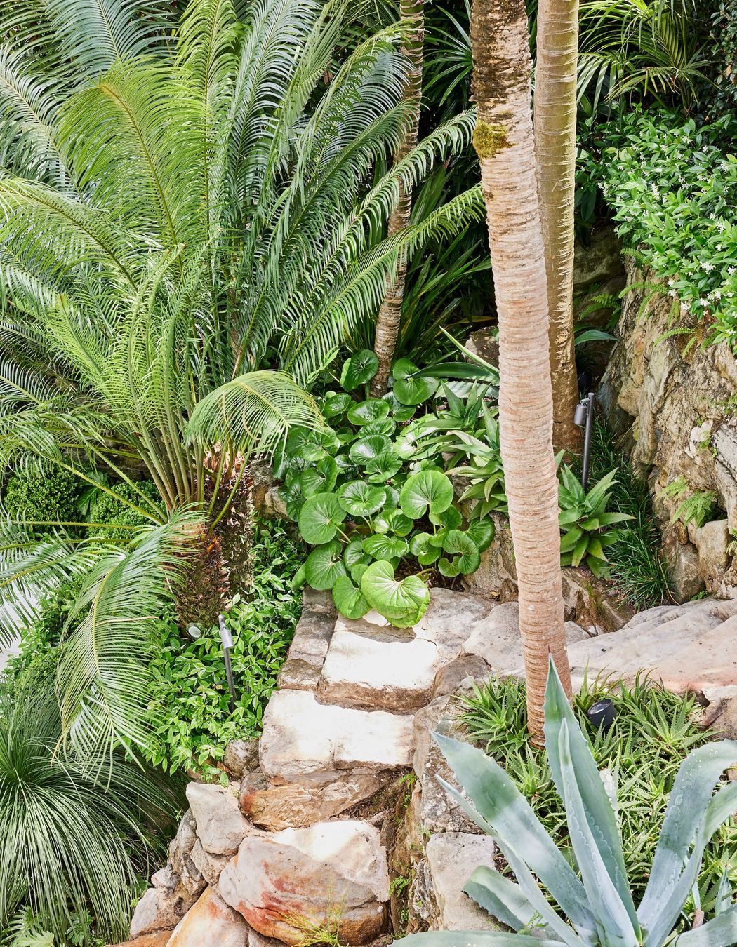 Pockets of interesting plantings can be found in the rockery surrounding the home.