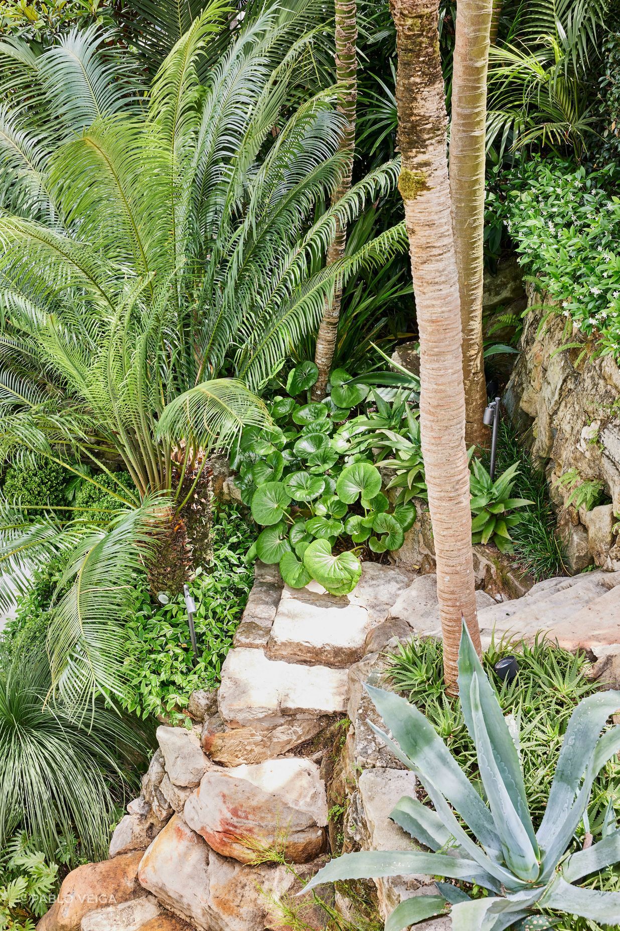 Pockets of interesting plantings can be found in the rockery surrounding the home.