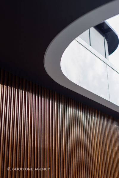 The Eagle House by Justin Humphrey Architects