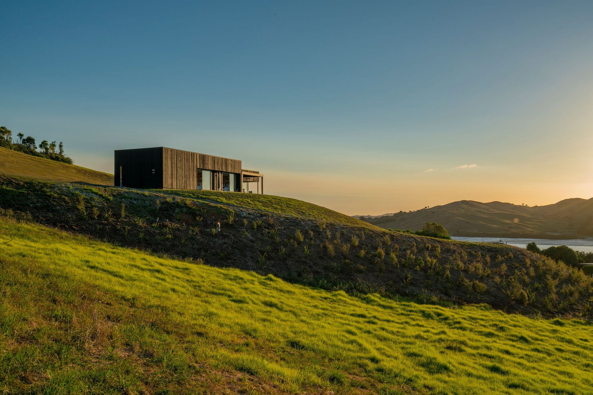 “The stepped boxes worked really well for that shelf of land,” says Wendy.
