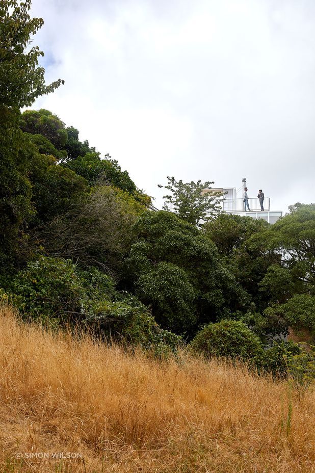 The rooftop peeks out over the surrounding trees.