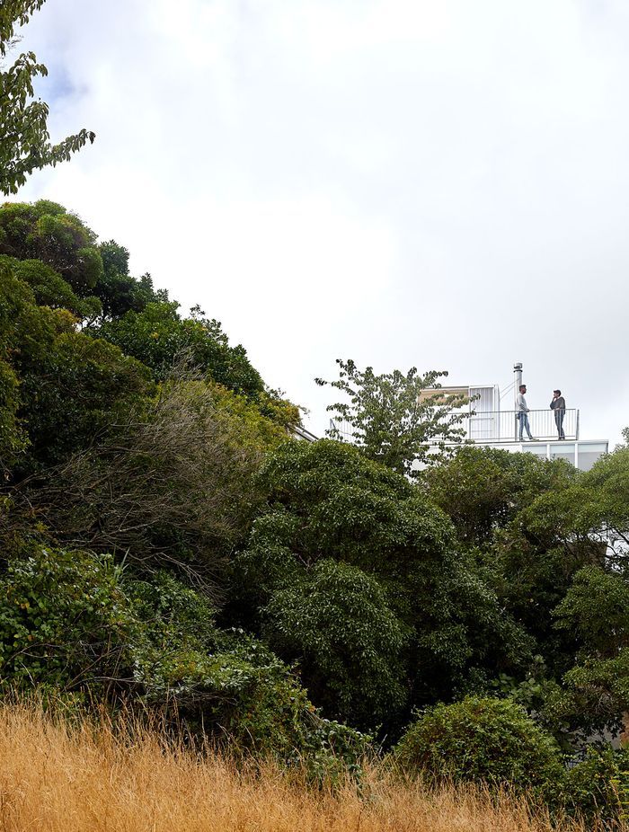 “We didn't actually know whether we were going to get great views or not,” says Adam. “We climbed up and tried to see but it was so thick with bush. The quality of the views that we got far exceeded what we were expecting.”